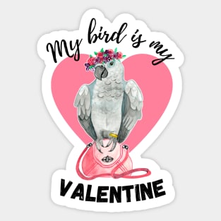 My Bird is My Valentine - Congo African Grey Watercolor Sticker